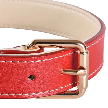 Genuine Leather Padded Dog Collar — Soft & Adjustable