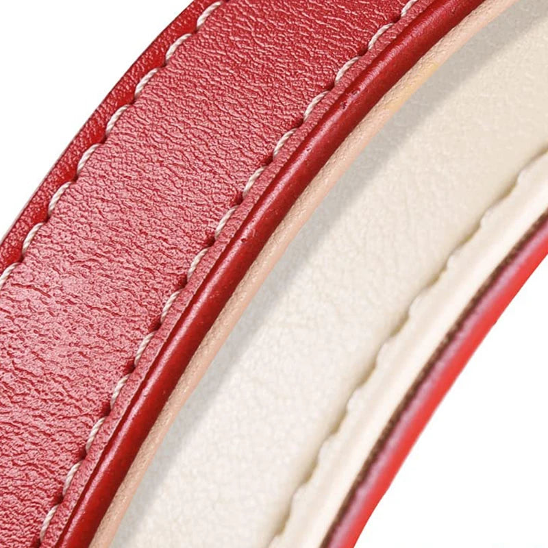 Genuine Leather Padded Dog Collar — Soft & Adjustable