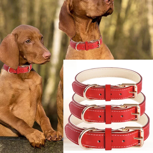 Genuine Leather Padded Dog Collar — Soft & Adjustable