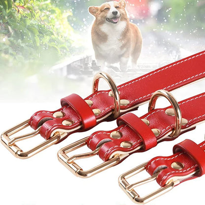 Genuine Leather Padded Dog Collar — Soft & Adjustable