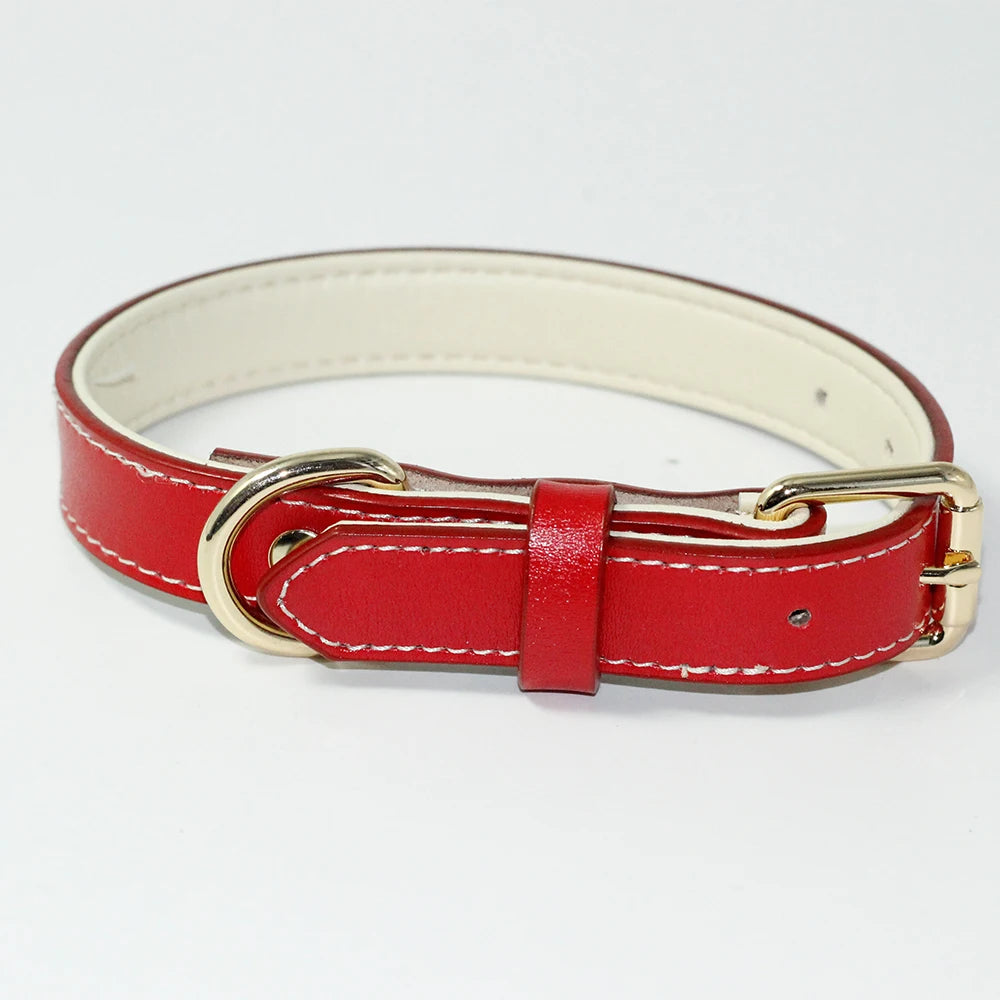 Genuine Leather Padded Dog Collar — Soft & Adjustable