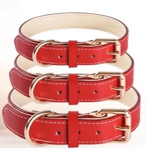 Genuine Leather Padded Dog Collar — Soft & Adjustable