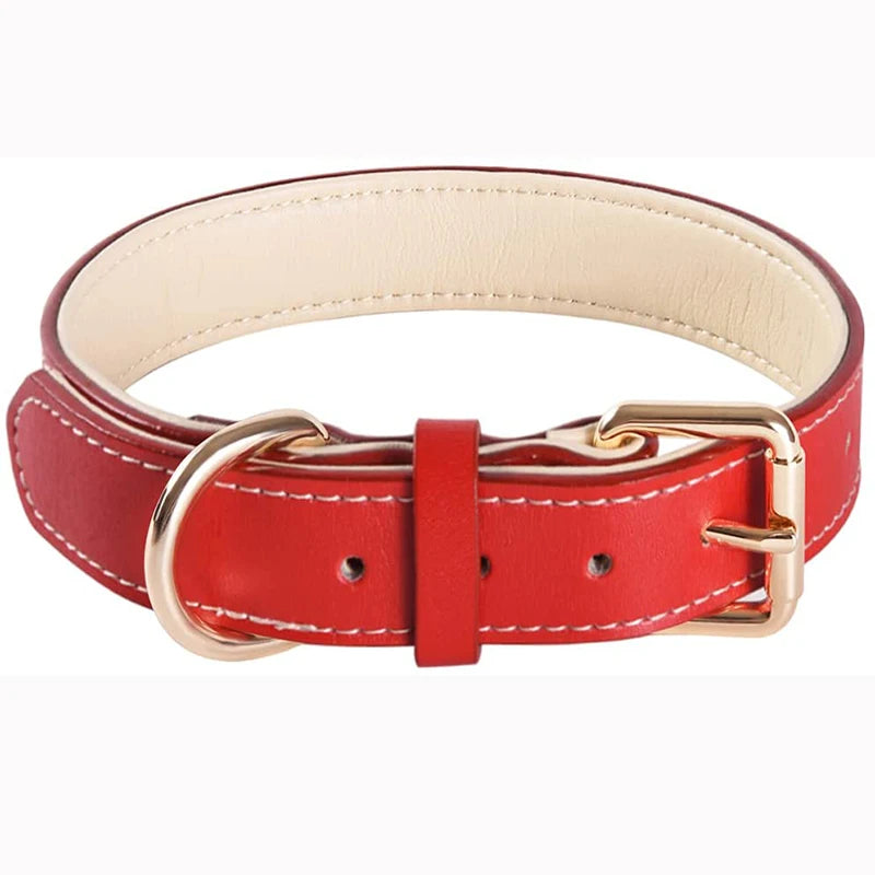 Genuine Leather Padded Dog Collar — Soft & Adjustable