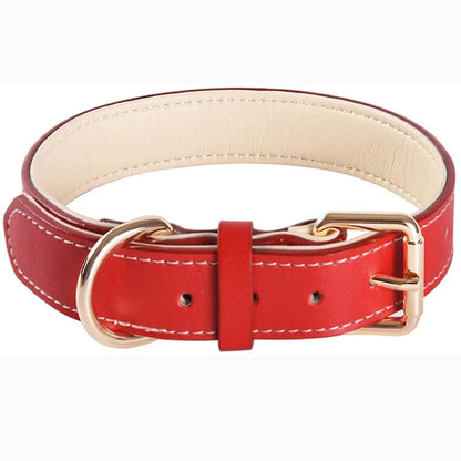 Genuine Leather Padded Dog Collar — Soft & Adjustable
