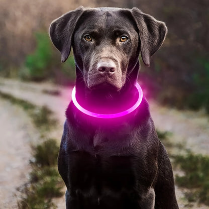LED Light-Up Dog Collar — USB Rechargeable & Anti-Lost