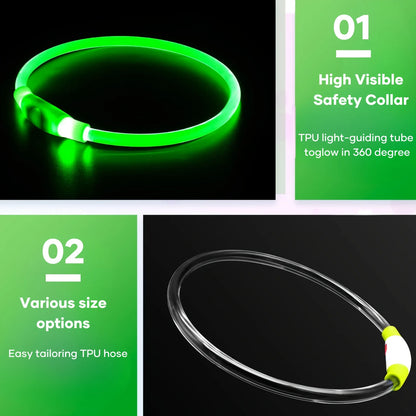 LED Light-Up Dog Collar — USB Rechargeable & Anti-Lost