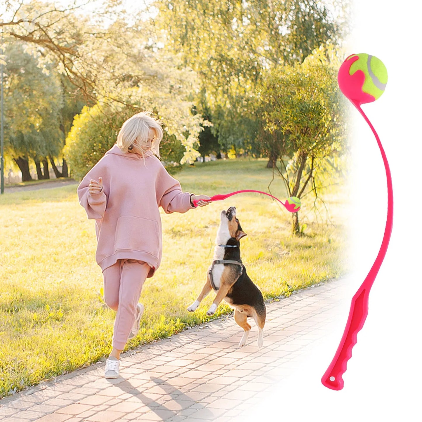 Dog Ball Thrower Stick | Outdoor Training & Play Toy with Tennis Ball