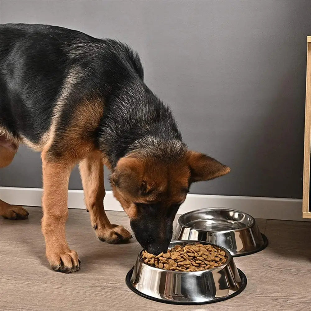 Stainless Steel Pet Bowl – Anti-Slip, Anti-Ant Food & Water Dish for Dogs & Cats