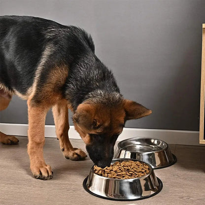 Stainless Steel Pet Bowl – Anti-Slip, Anti-Ant Food & Water Dish for Dogs & Cats