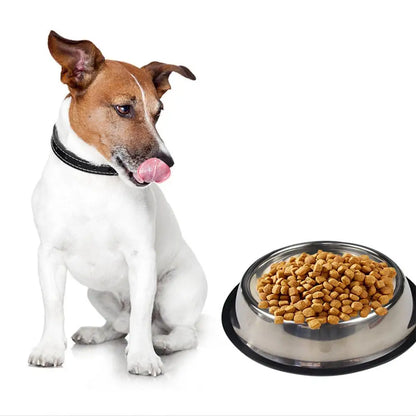 Stainless Steel Pet Bowl – Anti-Slip, Anti-Ant Food & Water Dish for Dogs & Cats