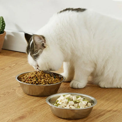 Stainless Steel Pet Bowl – Food & Water Feeder for Dogs & Cats | S to XXL