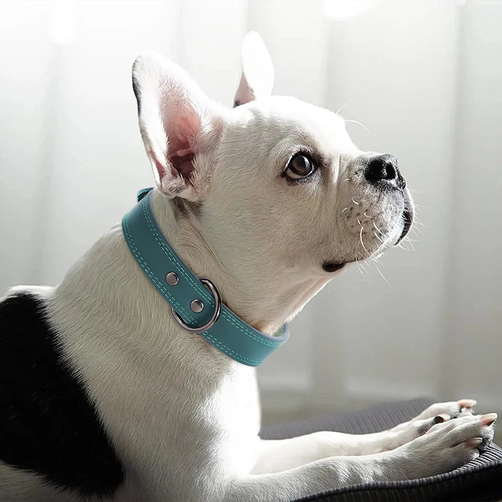 Real Leather Dog Collar — Soft, Durable & Adjustable