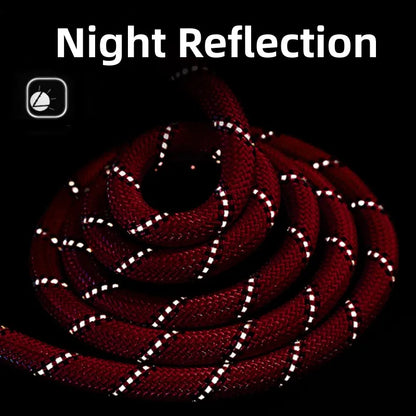 Reflective P-Chain Dog Collar — Adjustable Nylon