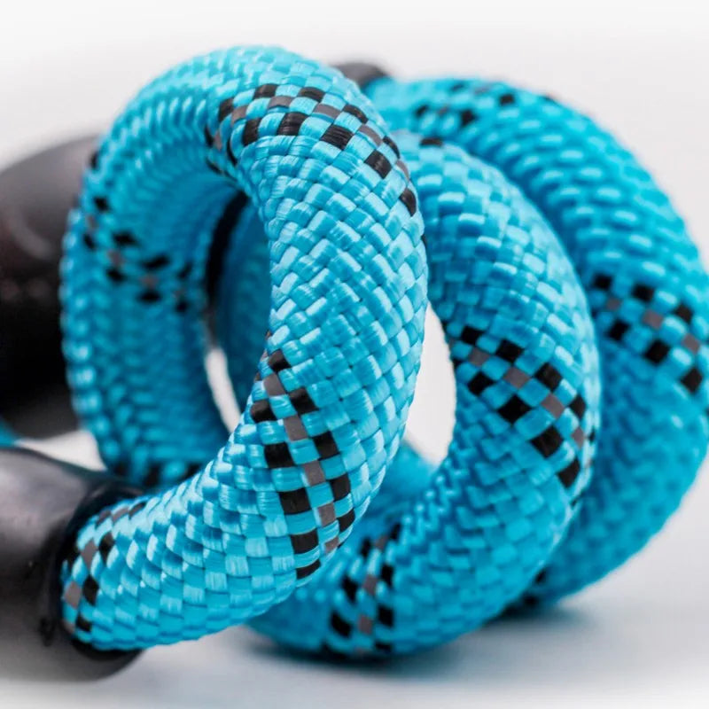 Reflective P-Chain Dog Collar — Adjustable Nylon
