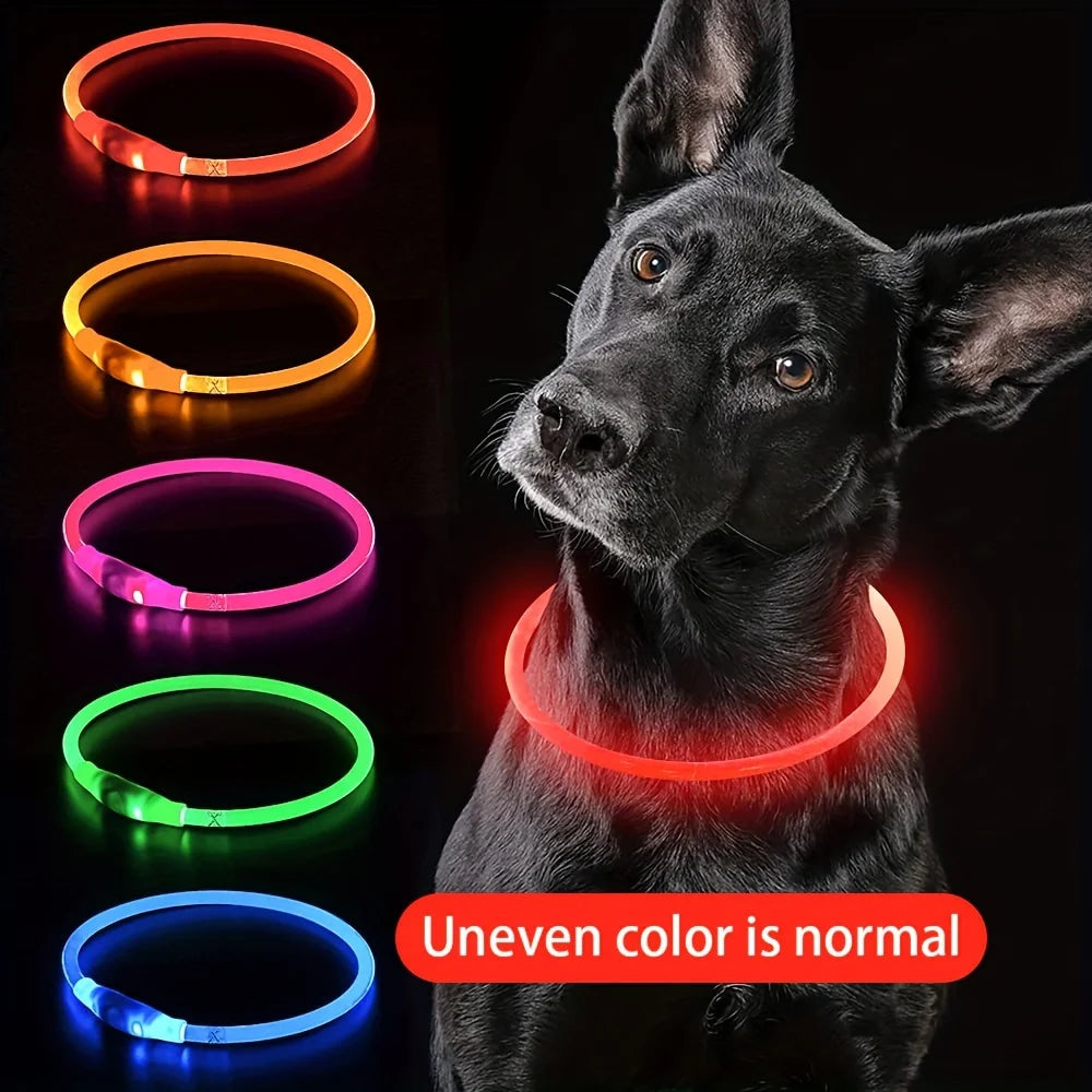 LED Light-Up Dog Collar — USB Rechargeable & Anti-Lost