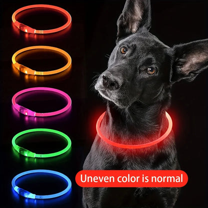 LED Light-Up Dog Collar — USB Rechargeable & Anti-Lost