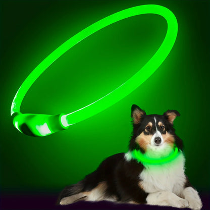 LED Light-Up Dog Collar — USB Rechargeable & Anti-Lost