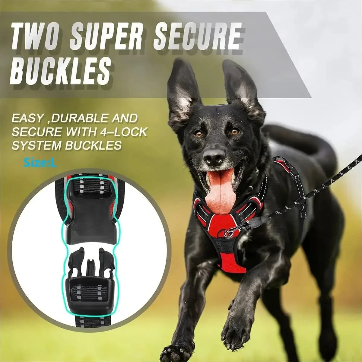Dog Vest Harness – Lightweight Adjustable Collar & Harness Set for Small & Medium Dogs