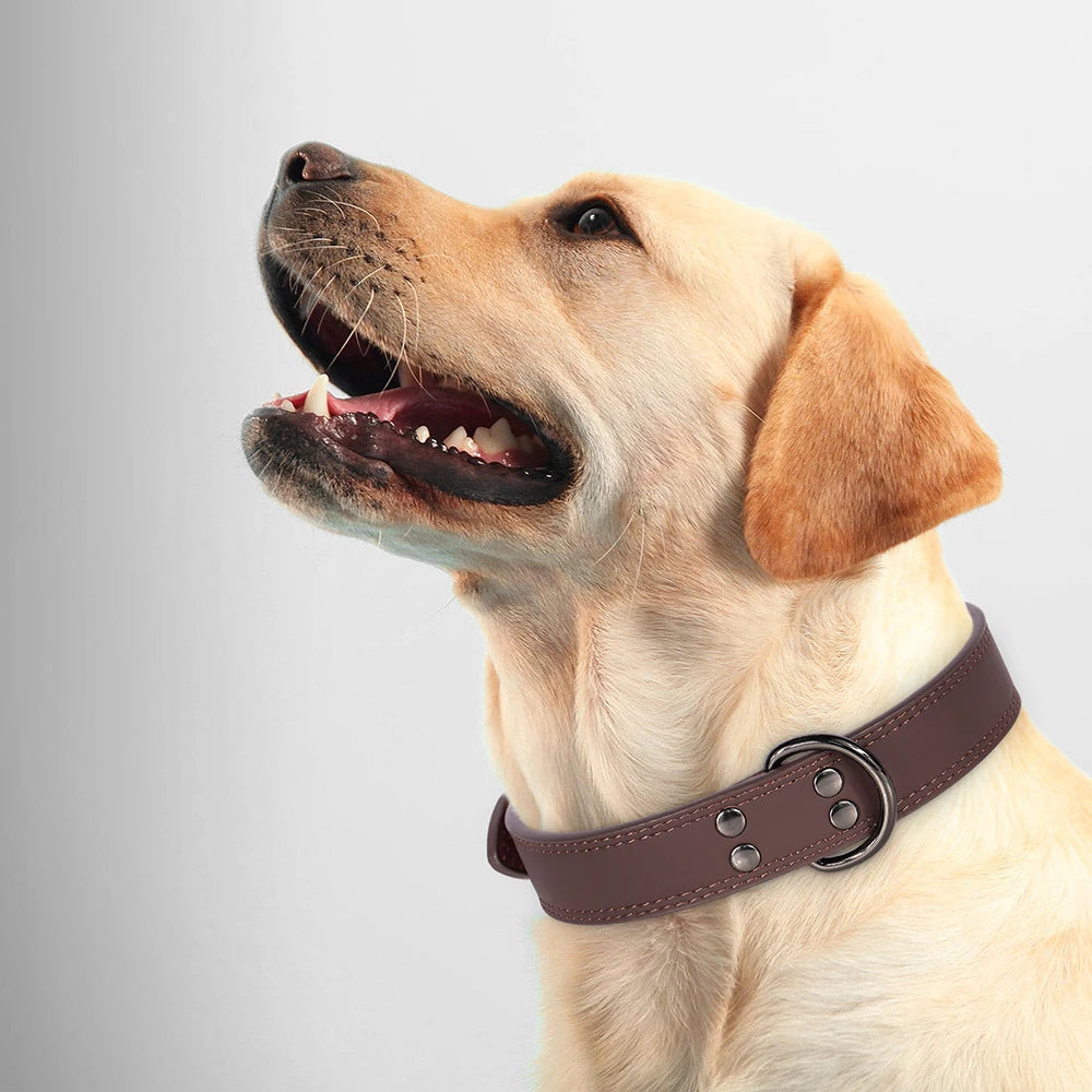 Real Leather Dog Collar — Soft, Durable & Adjustable