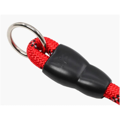 Reflective P-Chain Dog Collar — Adjustable Nylon