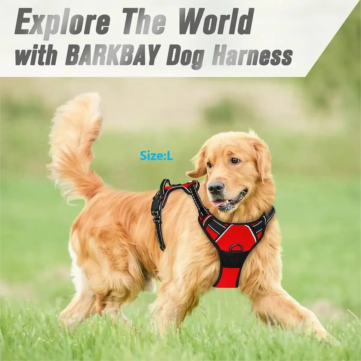 Dog Vest Harness – Lightweight Adjustable Collar & Harness Set for Small & Medium Dogs