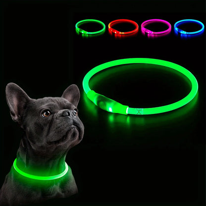 LED Light-Up Dog Collar — USB Rechargeable & Anti-Lost