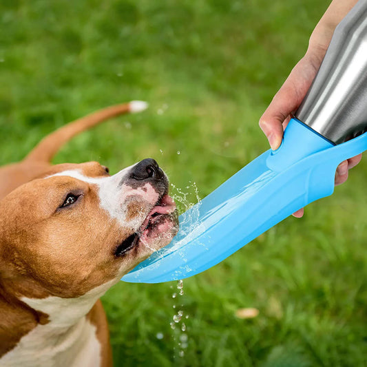 Portable Pet Water Bottle & Feeding Cup | 750ml Travel Set