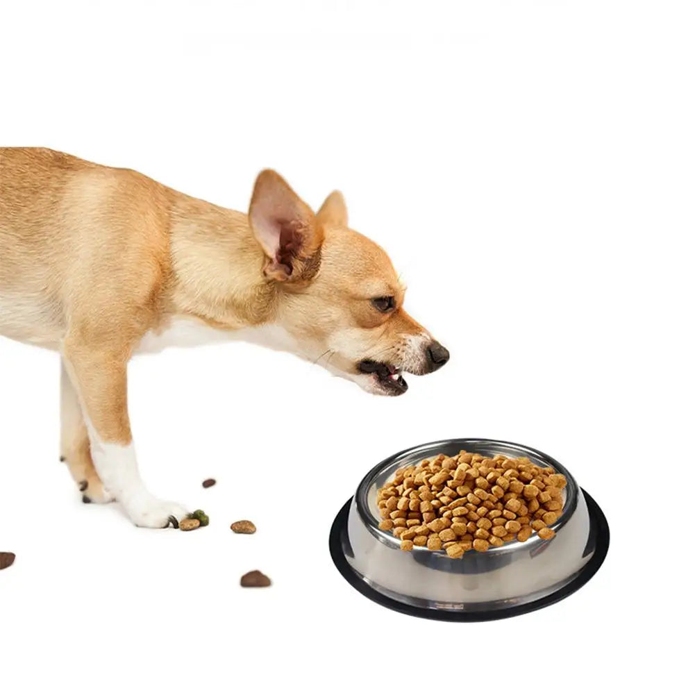 Stainless Steel Pet Bowl – Anti-Slip, Anti-Ant Food & Water Dish for Dogs & Cats