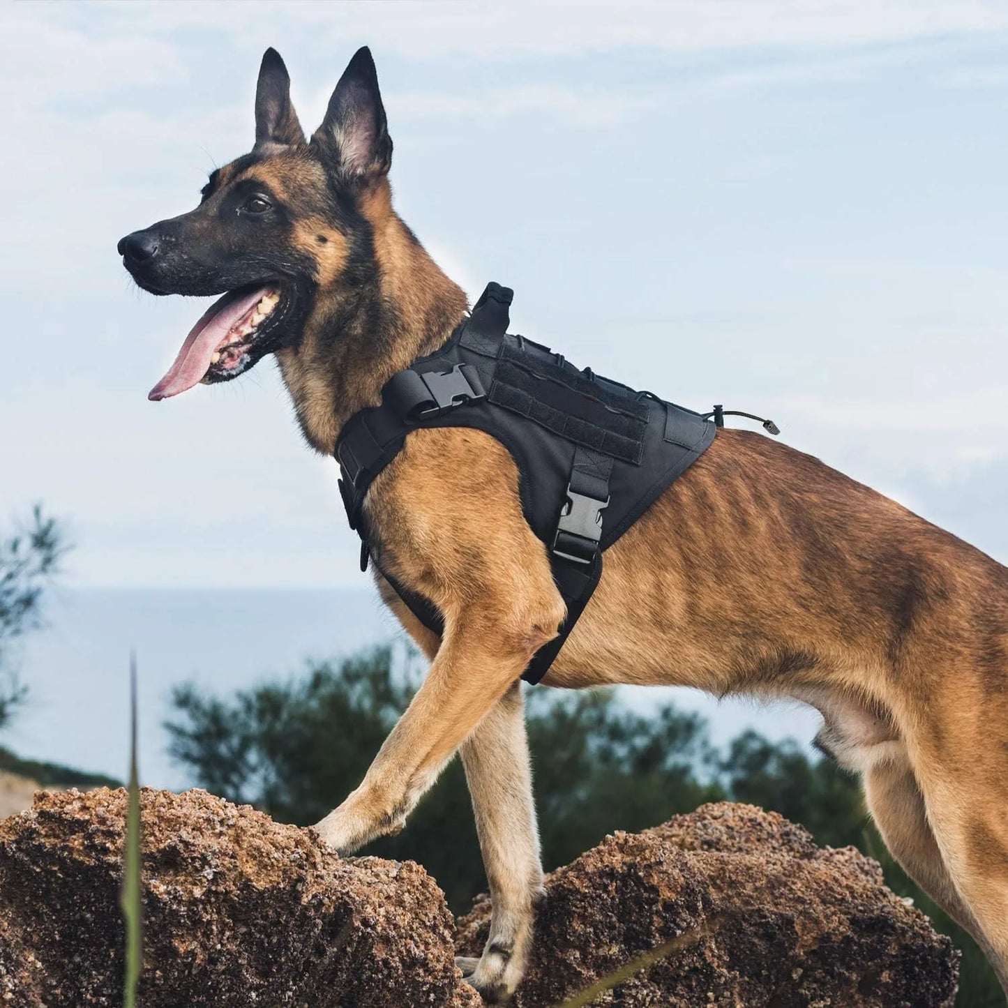 Tactical Dog Harness with Handle — No-Pull Service Vest
