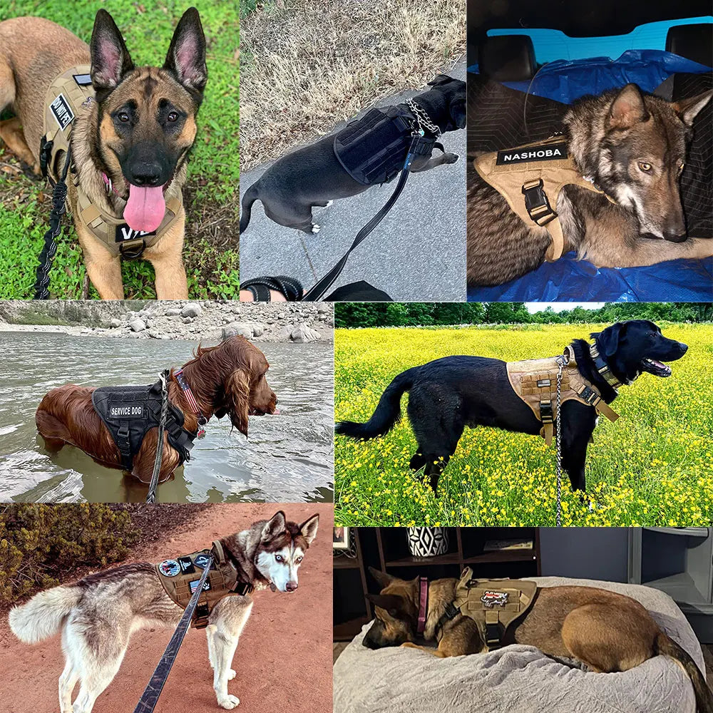 Military-Grade Tactical Dog Harness — Training Vest for Large Breeds