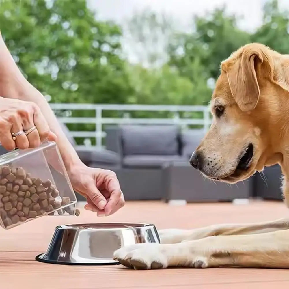 Stainless Steel Pet Bowl – Anti-Slip, Anti-Ant Food & Water Dish for Dogs & Cats